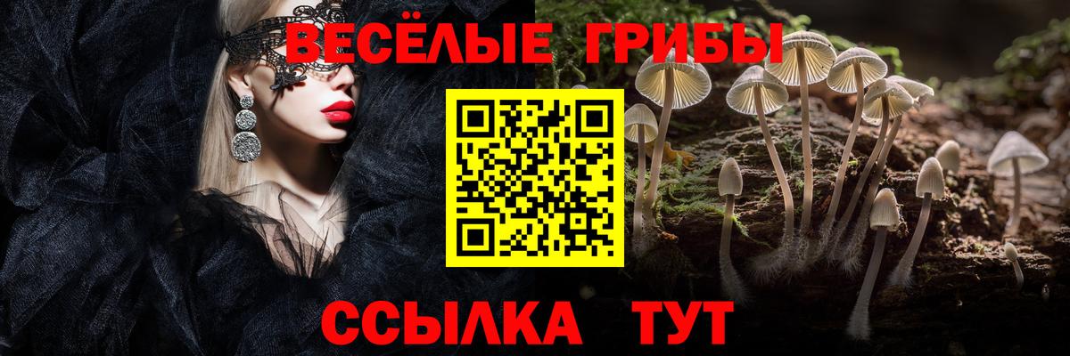 Галлюциногенные грибы MAGIC MUSHROOMS  Вход с VPN  Омск 